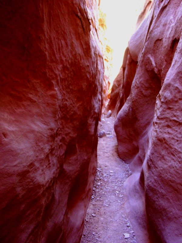 04160302LittleWildHorse (1099)